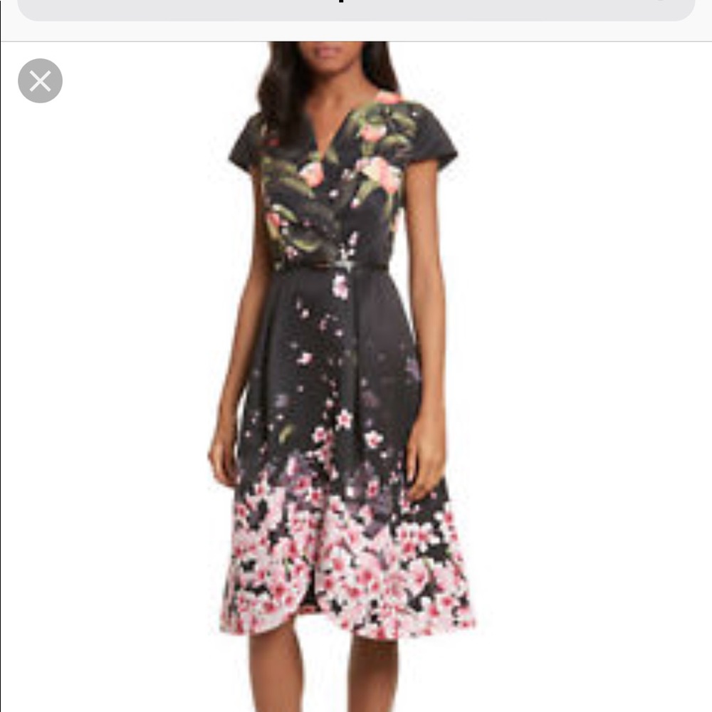 Ted Baker Fredica Peach Blossom Dress 🌸